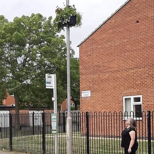 Hanging basket on lamppost