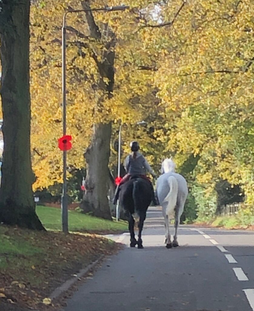 Horses walk past poppies on lamp-posts