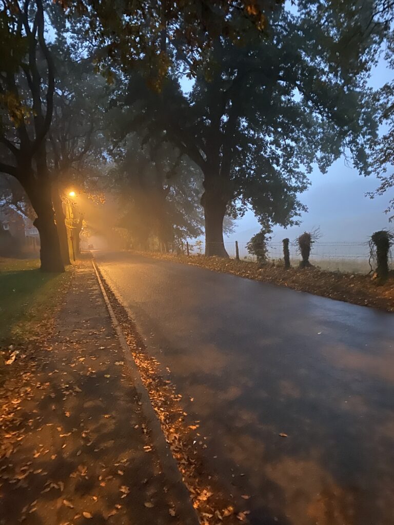 Twilight - Bestwood Lodge Drive